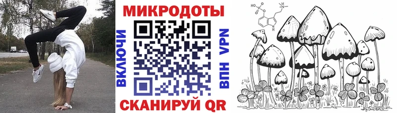 Псилоцибиновые грибы мухоморы  Берёзовский 